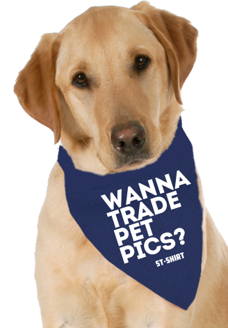 Pet Bandanas