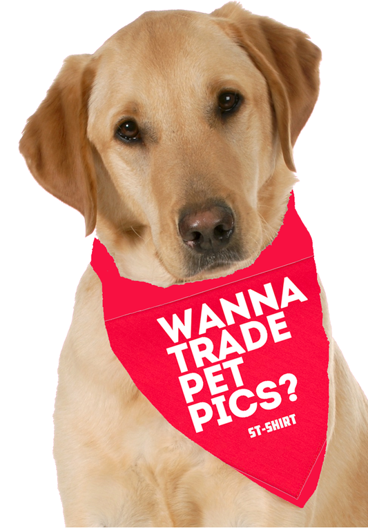 Pet Bandanas