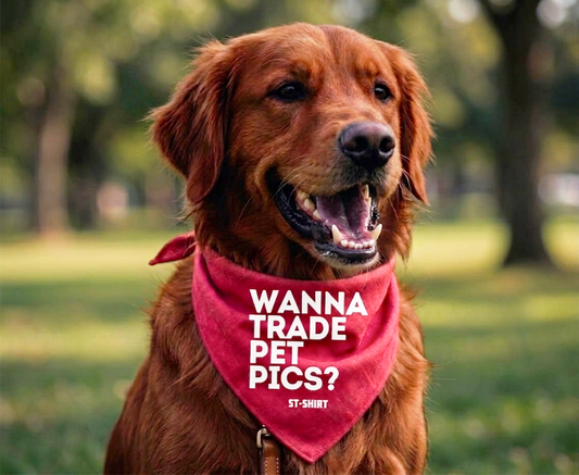 Pet Bandanas